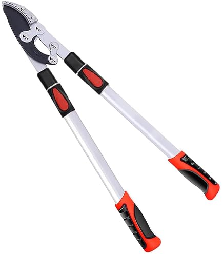 Amazon.co.jp: オリーブ 剪定枝 挿し木 太木挿し 太枝 7本 : DIY・工具